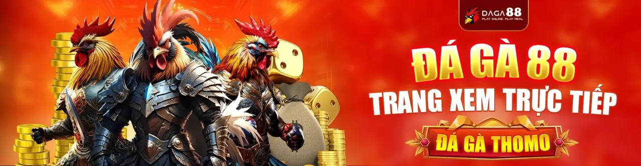 Chính sách cờ bạc có trách nhiệm tại 6686bet code 2026